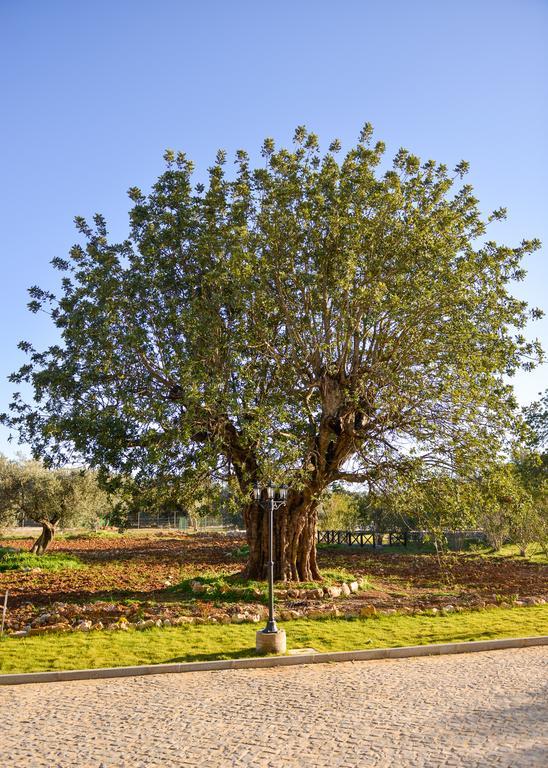 Quinta Dos Tesouros Villa Sao Bras de Alportel Luaran gambar