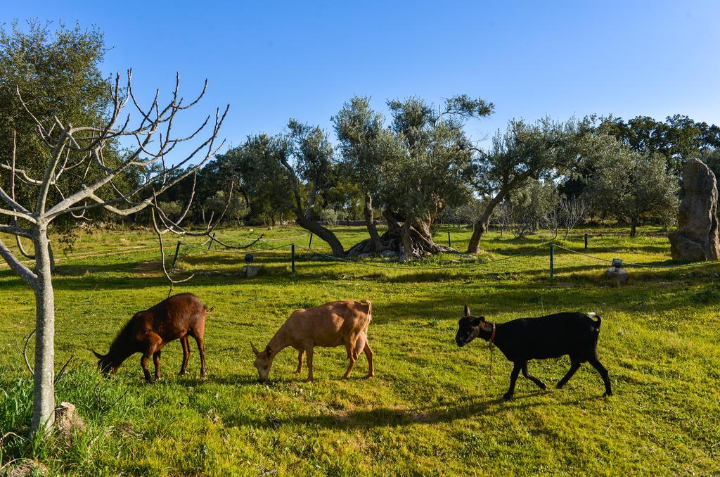 Quinta Dos Tesouros Villa Sao Bras de Alportel Luaran gambar